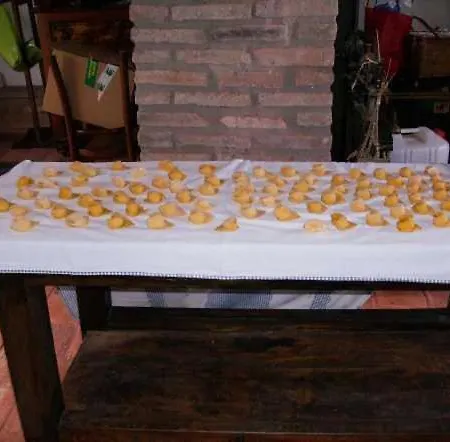 La Buca 컨트리하우스 카스텔로 디 세라발레