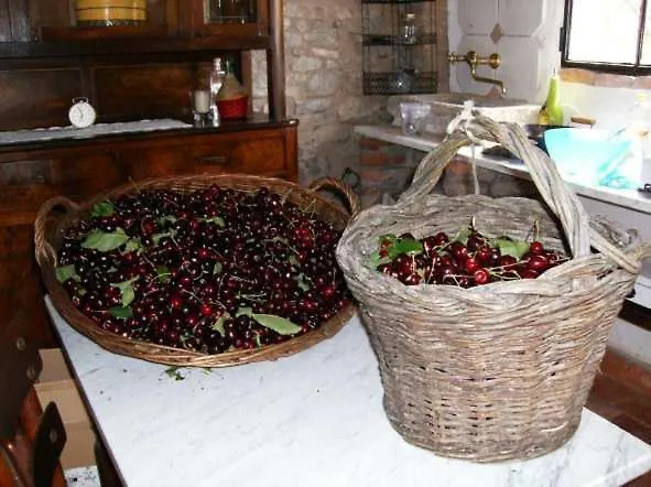 Летний дом La Buca